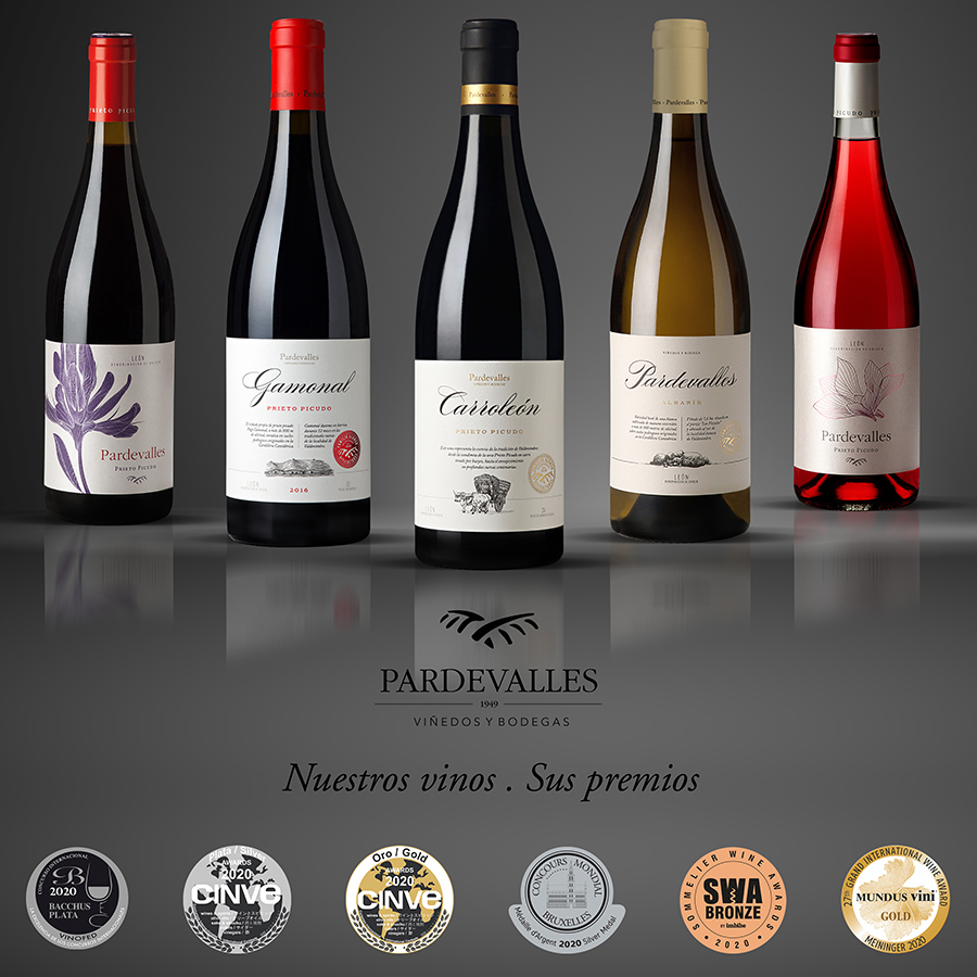 Pardevalles, wines from León to heaven